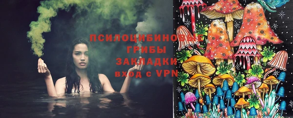 прущие крисы Алзамай