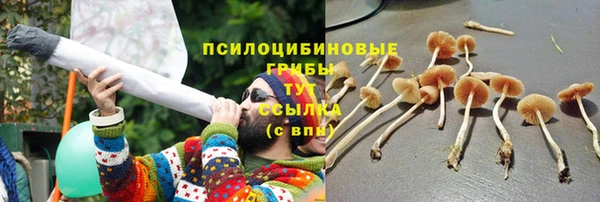 прущие крисы Алзамай