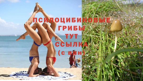 дживик Абаза