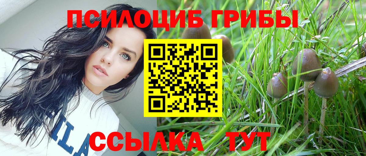 Псилоцибиновые грибы мицелий Уварово